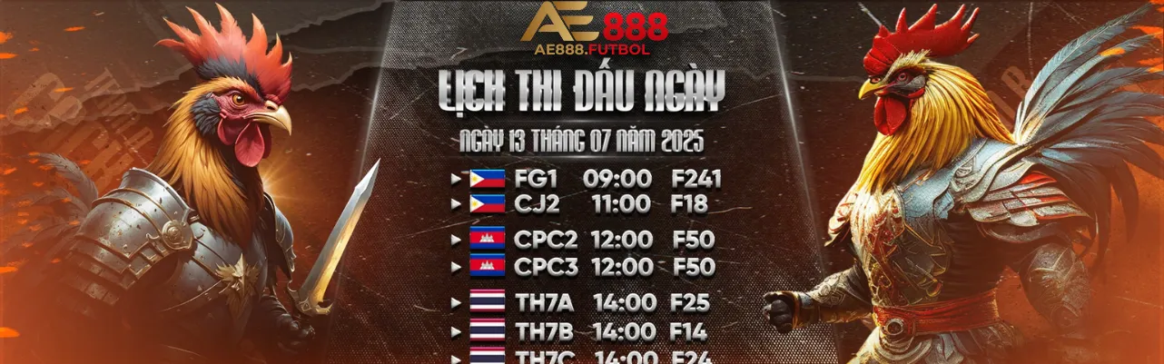 banner ae888