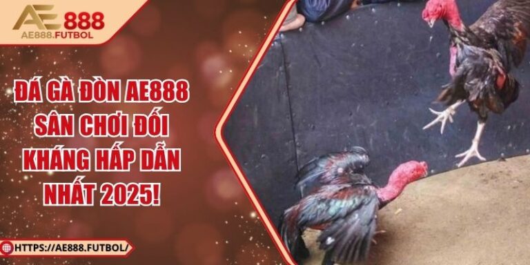 Đá Gà Đòn AE888 – Sân Chơi Đối Kháng Hấp Dẫn Nhất 2025!