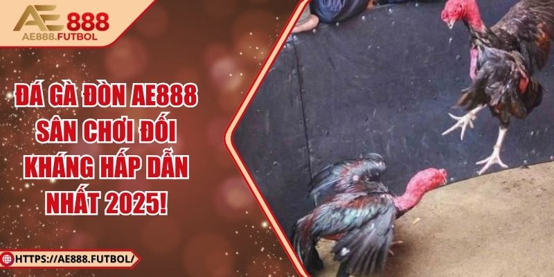 Đá Gà Đòn AE888 – Sân Chơi Đối Kháng Hấp Dẫn Nhất 2025!