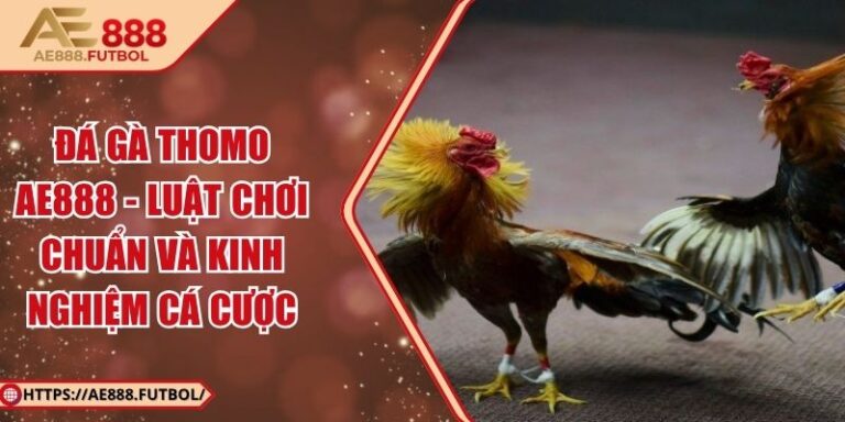 Đá Gà Thomo AE888 - Luật Chơi Chuẩn Và Kinh Nghiệm Cá Cược