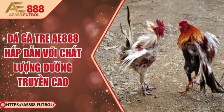 Đá Gà Tre AE888 Hấp Dẫn Với Chất Lượng Đường Truyền Cao