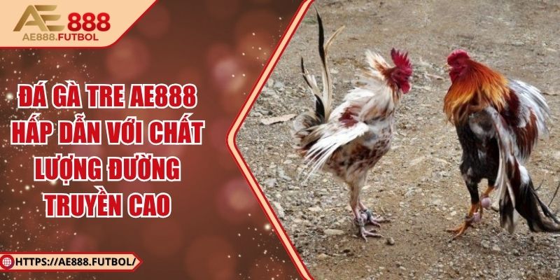 Đá Gà Tre AE888 Hấp Dẫn Với Chất Lượng Đường Truyền Cao